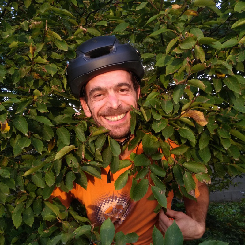 petit coucou à travers la haie de charmes...