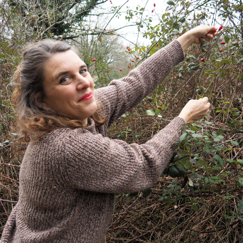 Cécile Ménard cueille des cynorrhodons