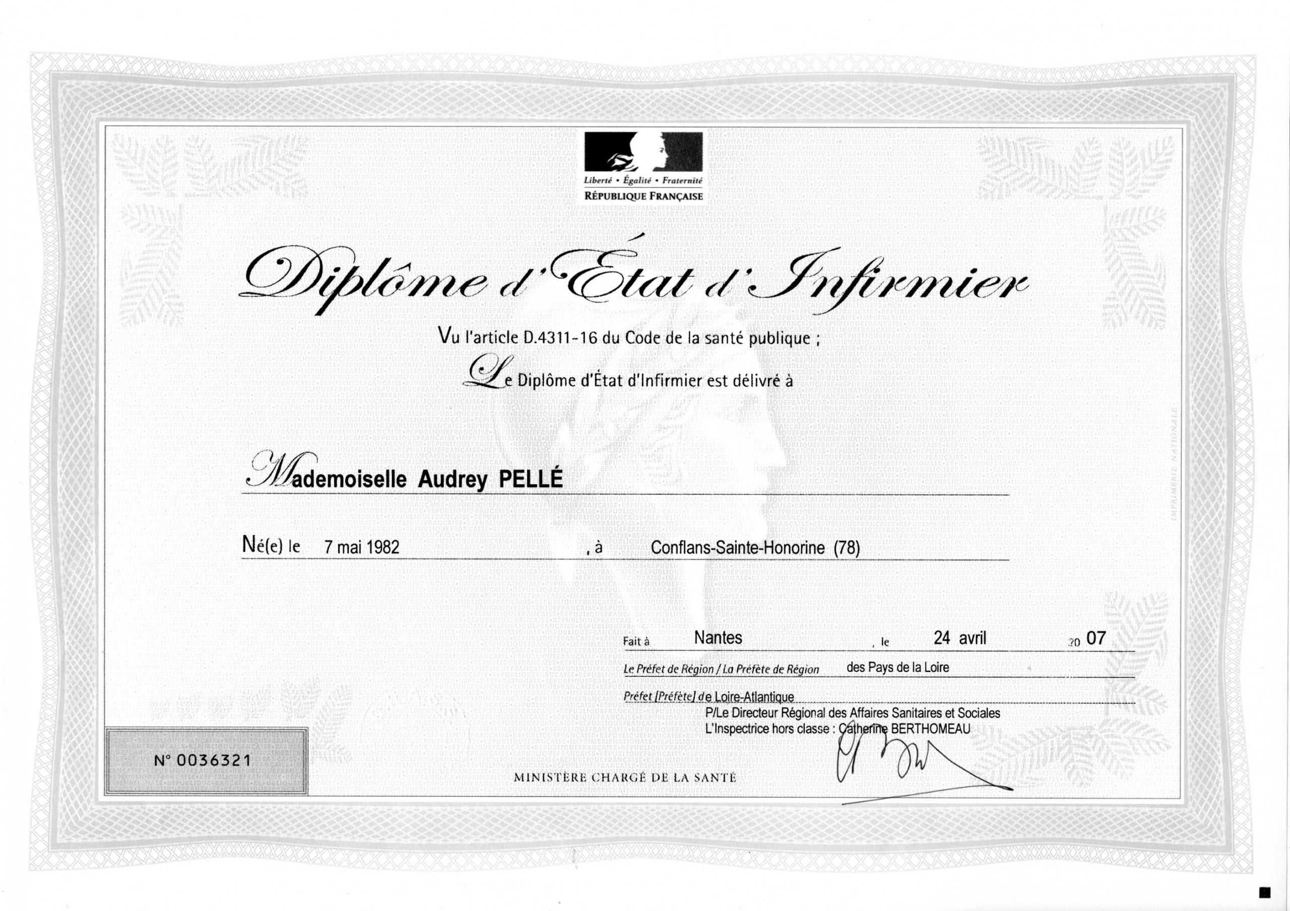 Diplôme d'Etat Infirmier