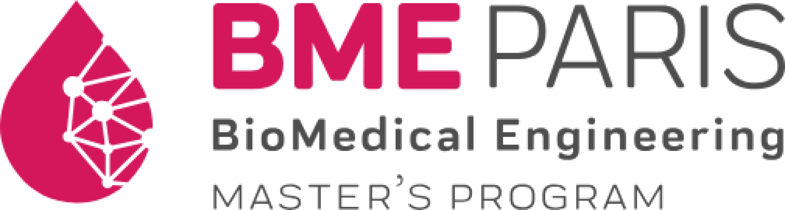 Master Ingénierie de la santé (BME Paris)