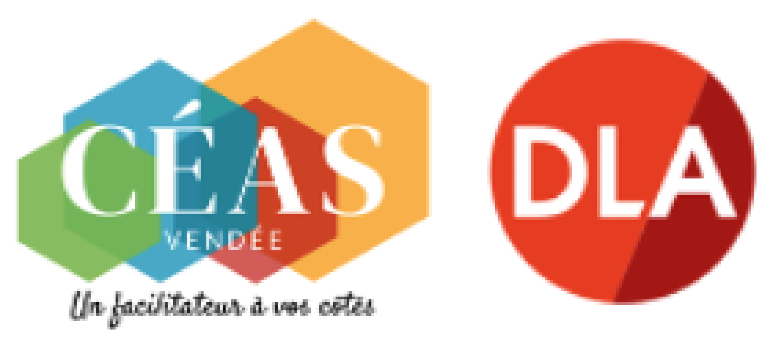 CEAS de Vendée / DLA CEAS de Vendée / DLA
