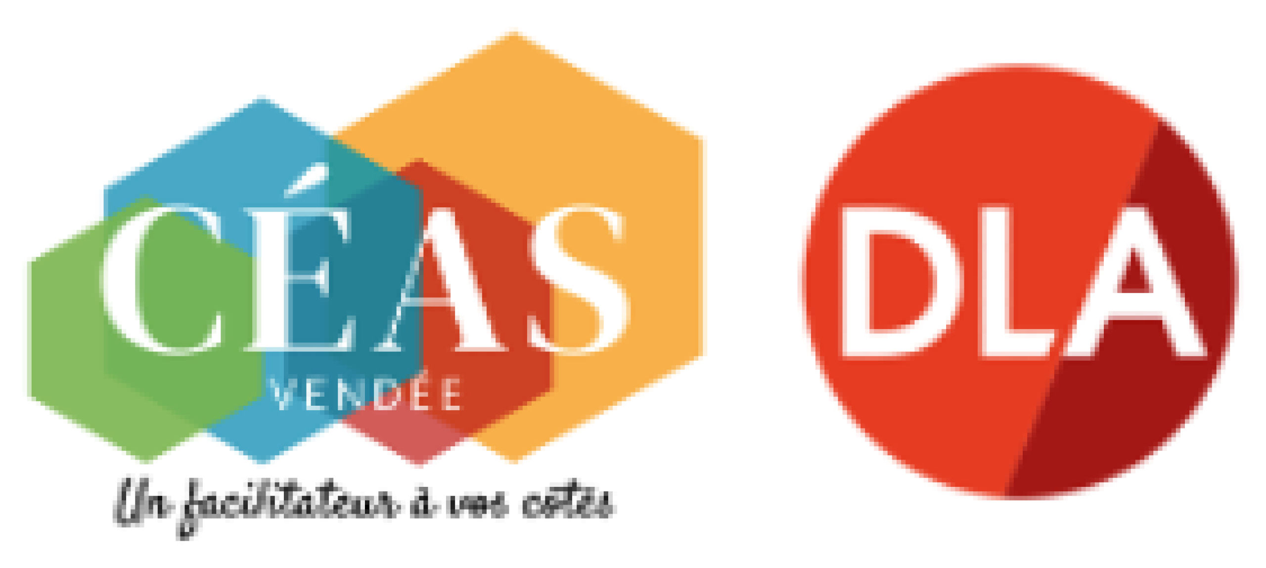 CEAS de Vendée / DLA