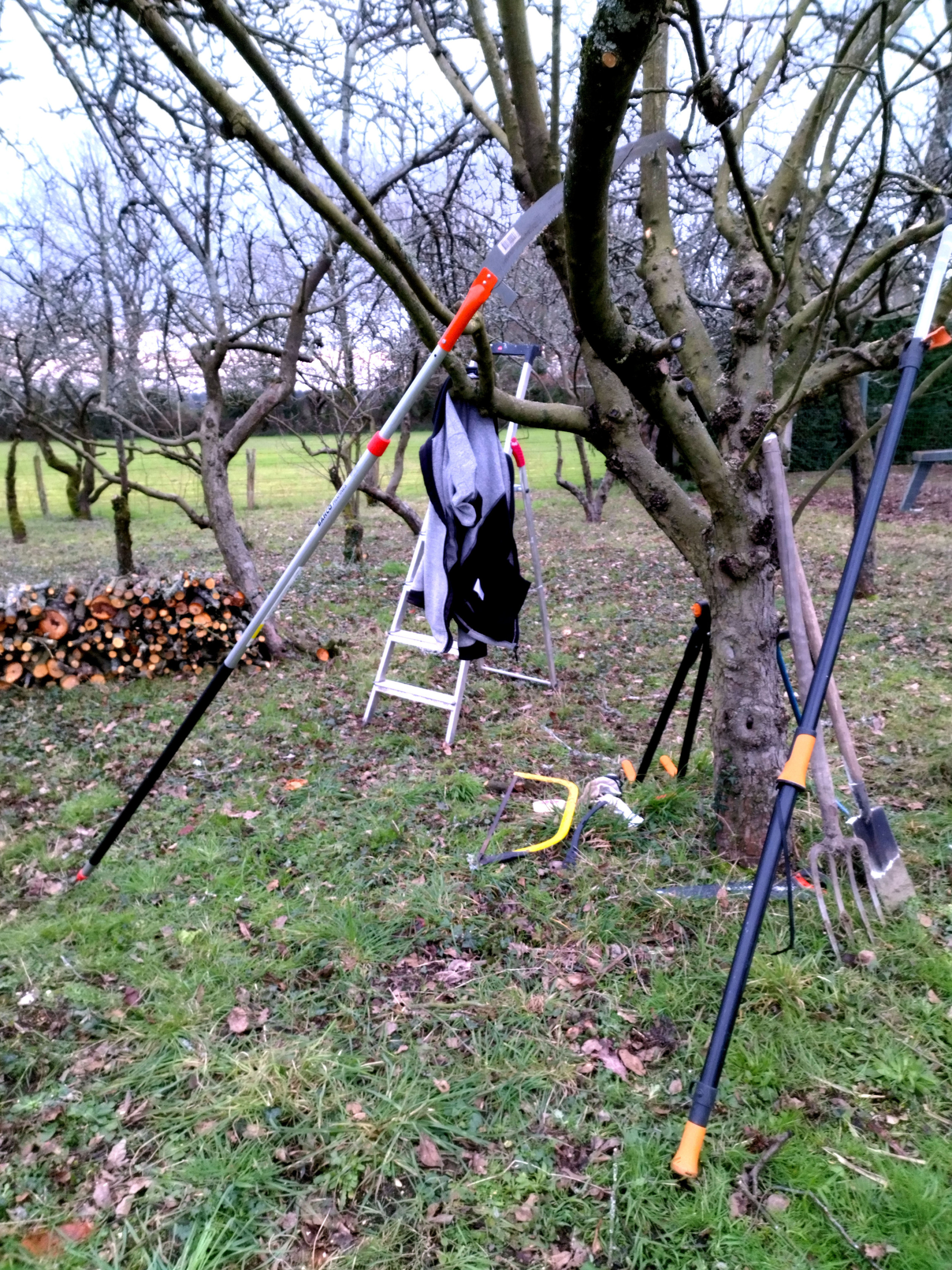 Je travaille exclusivement avec des outils manuels, sans moteur bruyant, sans batterie. Je passe un peu plus de temps , mais je n'effraie pas les oiseaux! outillage portatif manuel