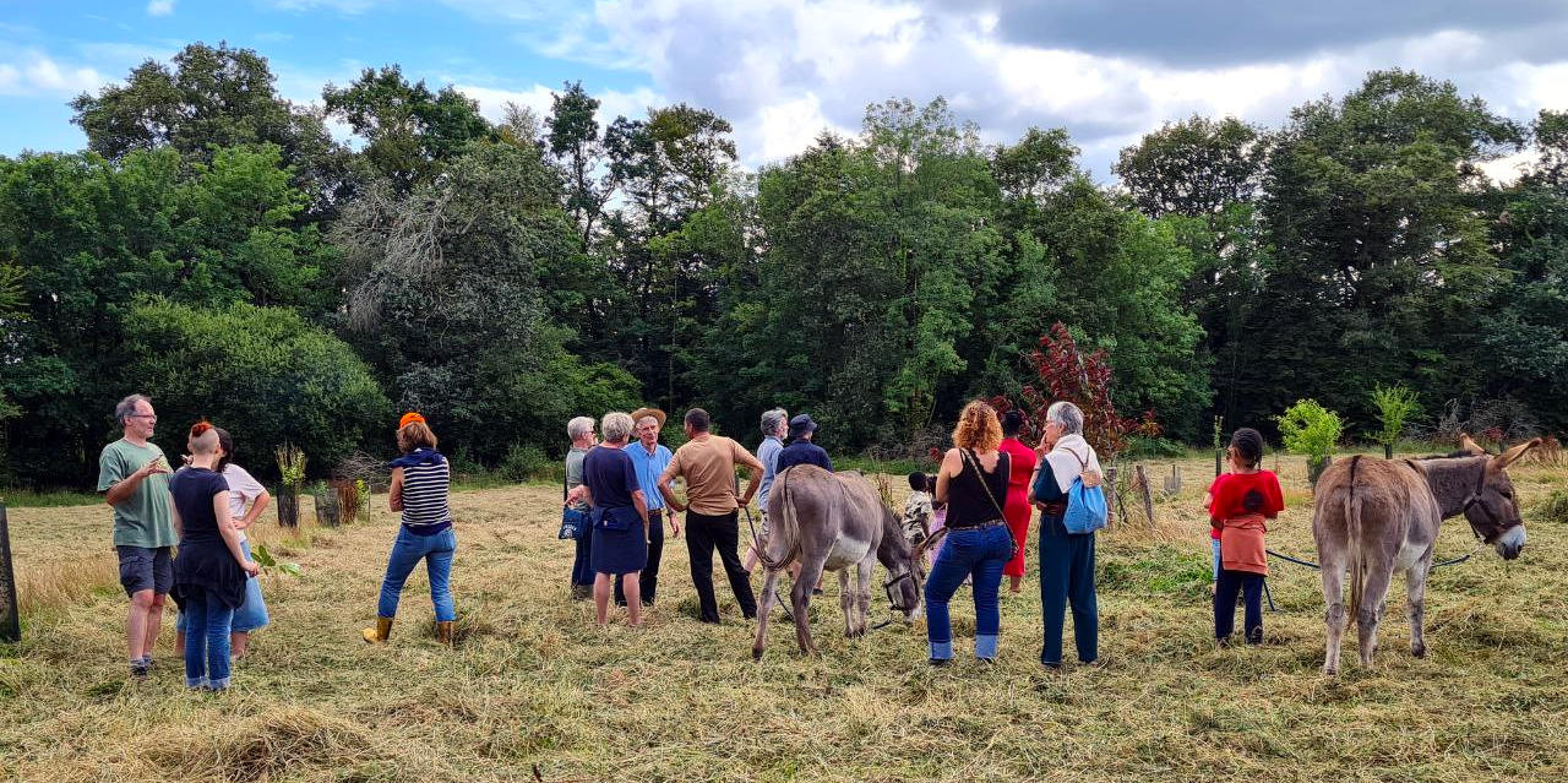 Visite collective du Verger Social Club du tiers-lieux Kerminy, à Rosporden (29). La plantation en hiver 2020-2021, taille libre, interrang de 15m permettant l'installation de futures cultures intercalaires. Visite de verger juste après les foins, été 2024