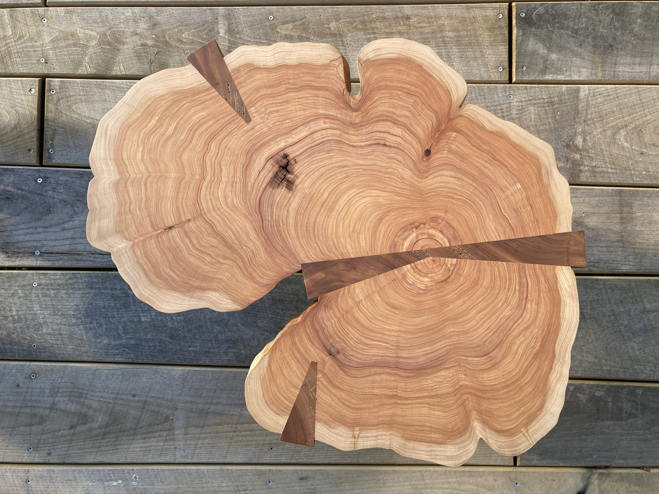 Tête de bois-Créateur_Table basse