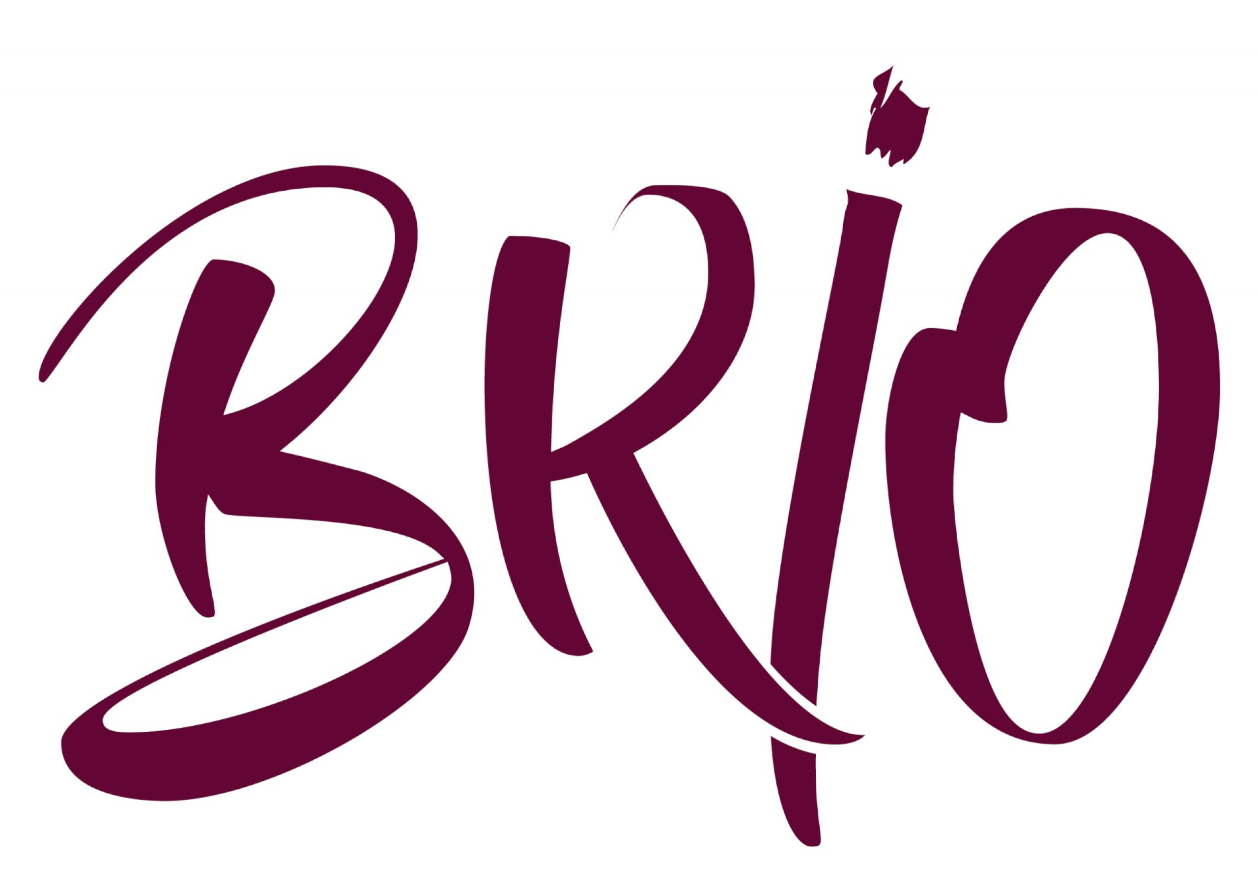 Association Programme Brio