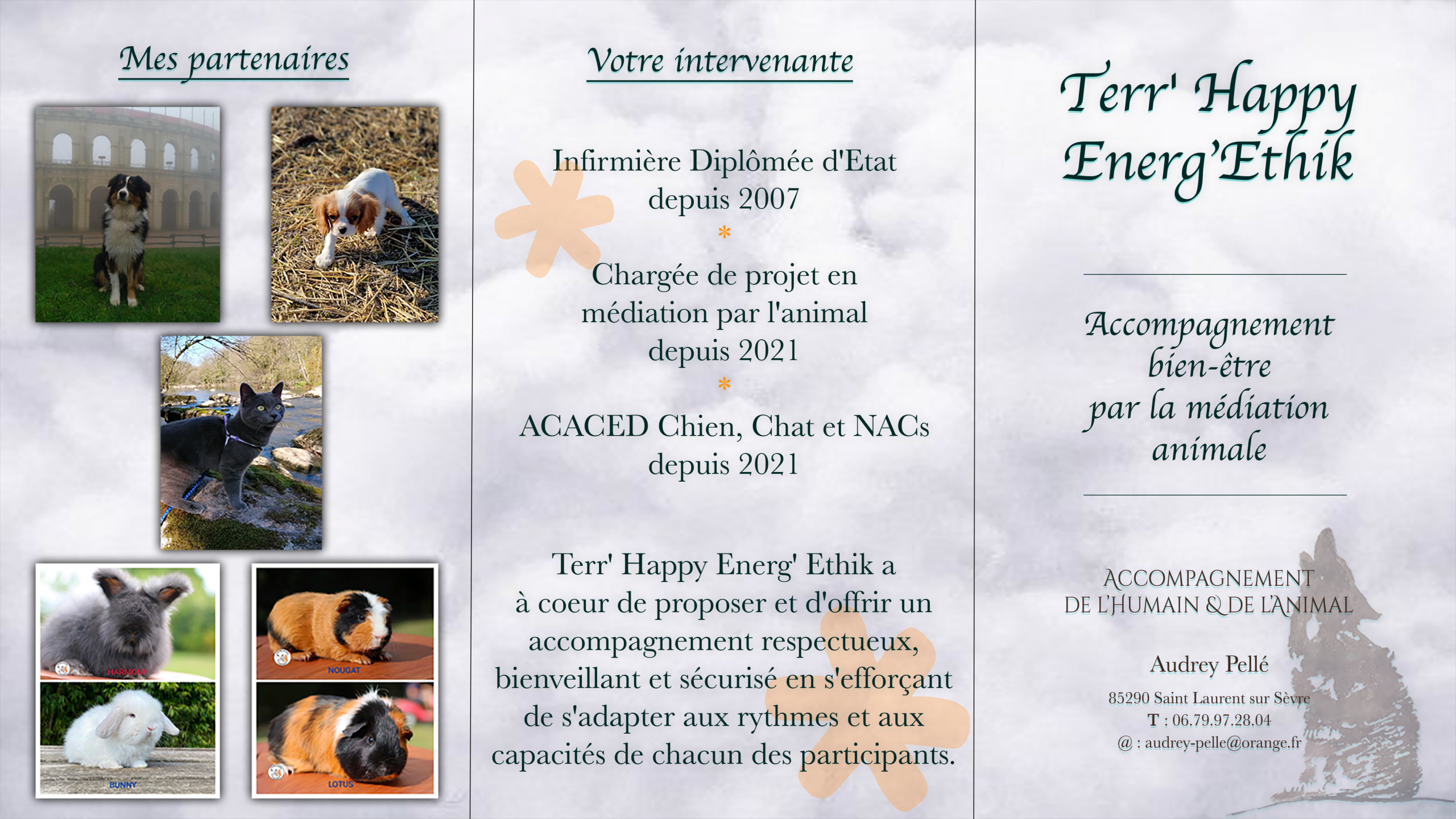 Brochure explicative Médiation Animale - Recto