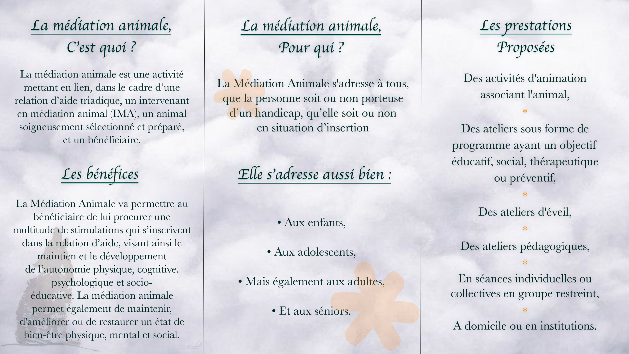 Brochure explicative Médiation Animale - Brochure explicative Médiation Animale - Verso