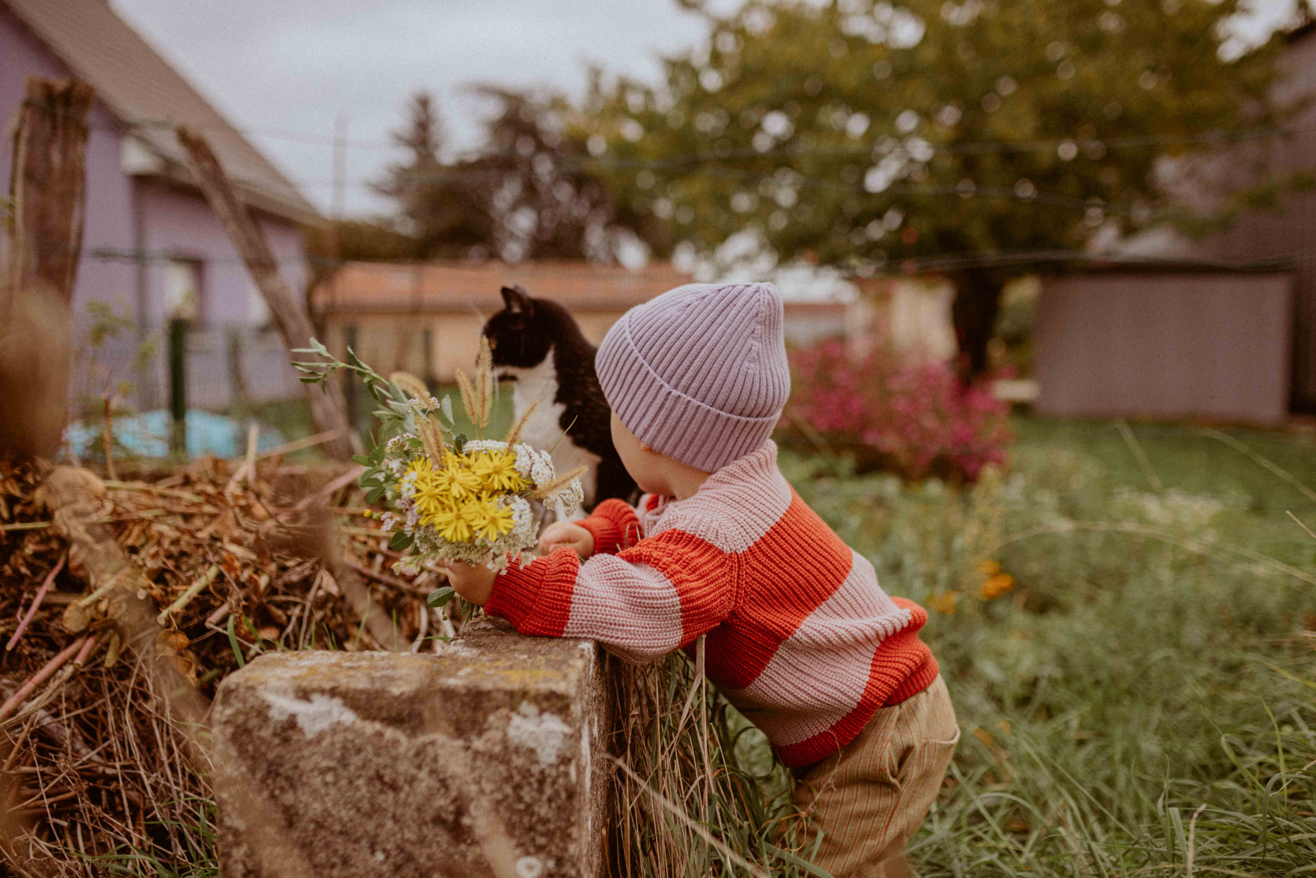 ©troisradis_photographe pull enfant laine mérinos