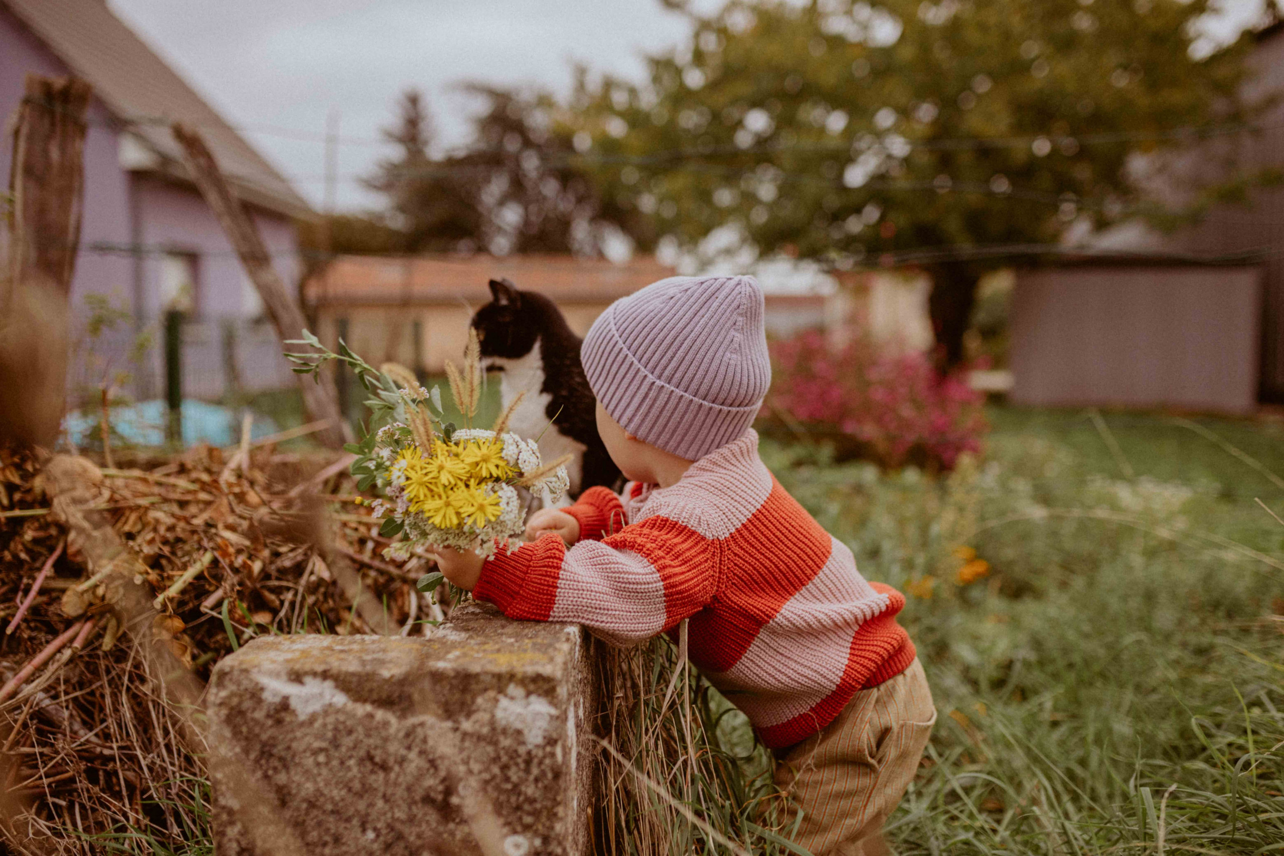 pull enfant laine mérinos 