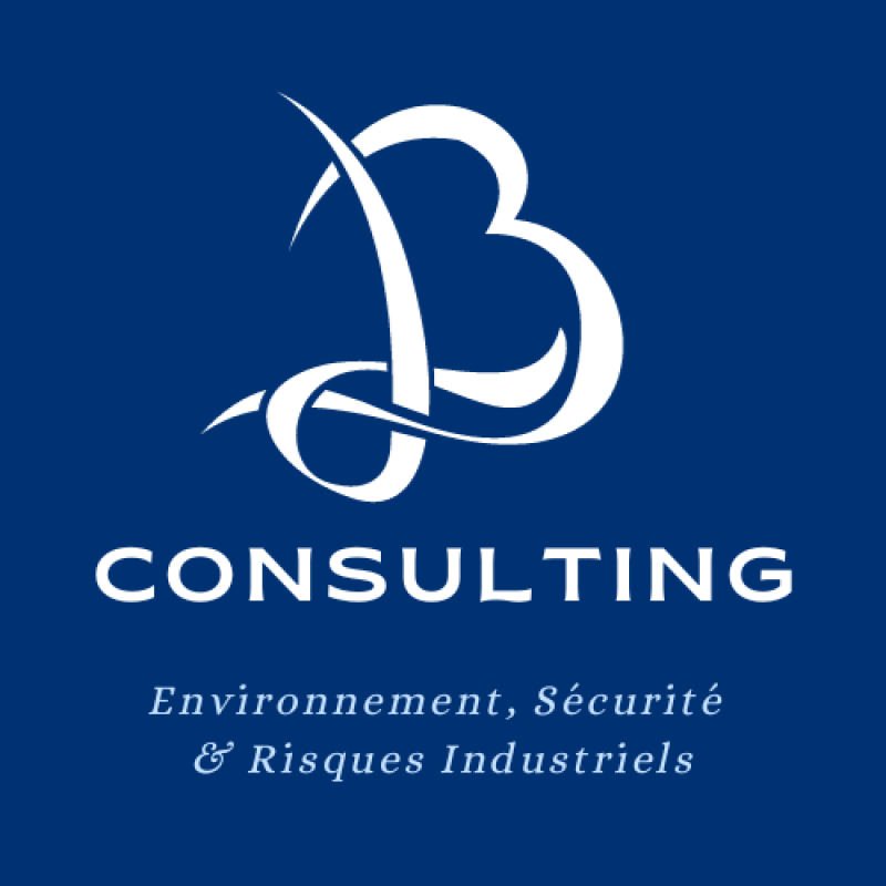 LB Consulting