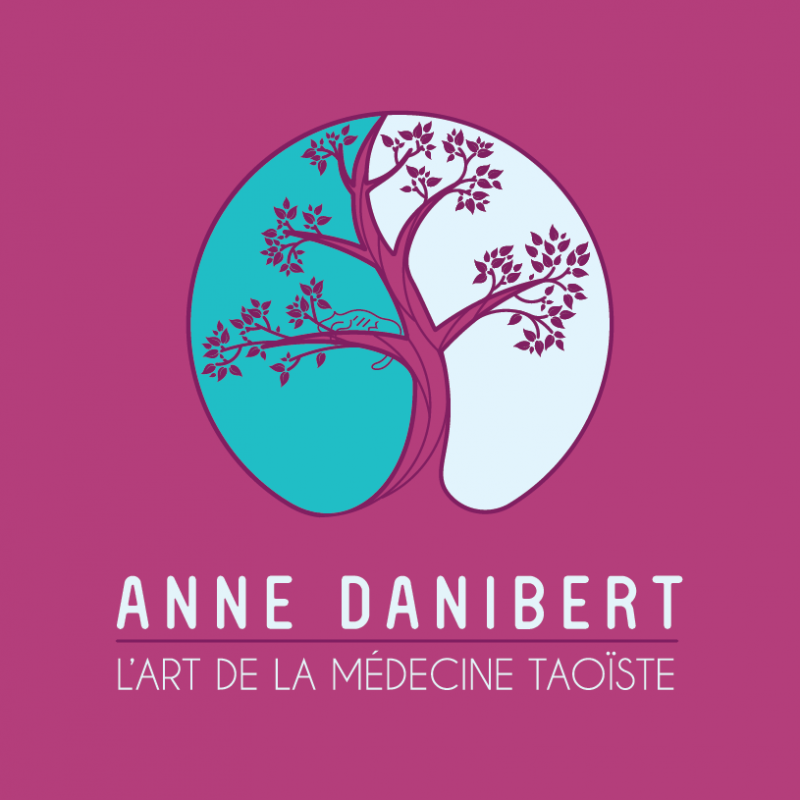 Anne Danibert - L'art de la médecine taoiste