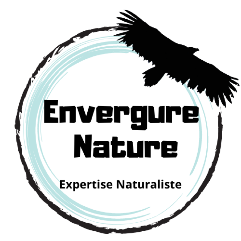 Envergure Nature 