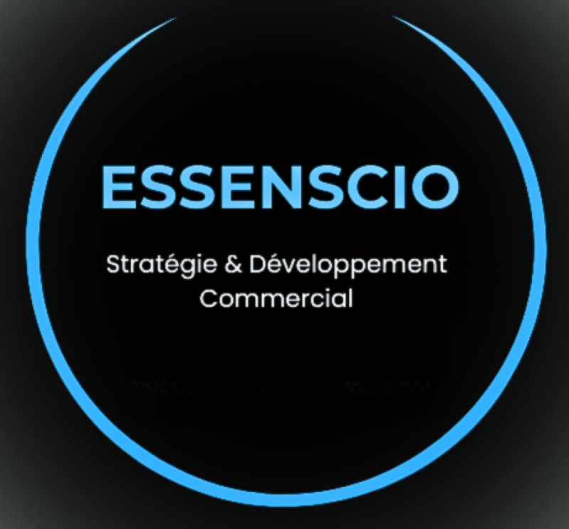 ESSENSCIO AUDIT CONSEIL DEVELOPPEMENT COMMERCIAL TPE PME TIH