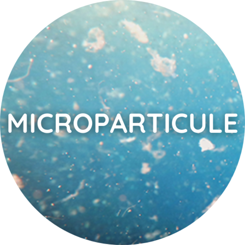 Microparticule