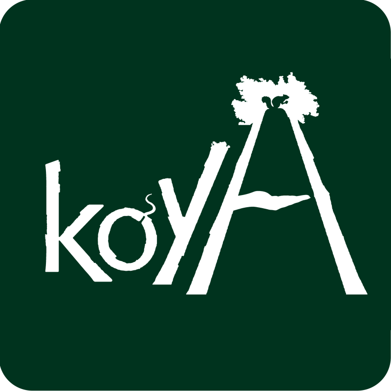 logo_koyA