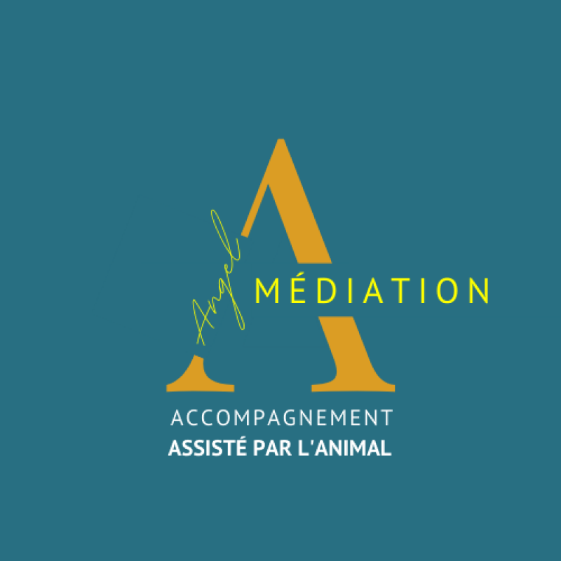 logo Angel Médiation