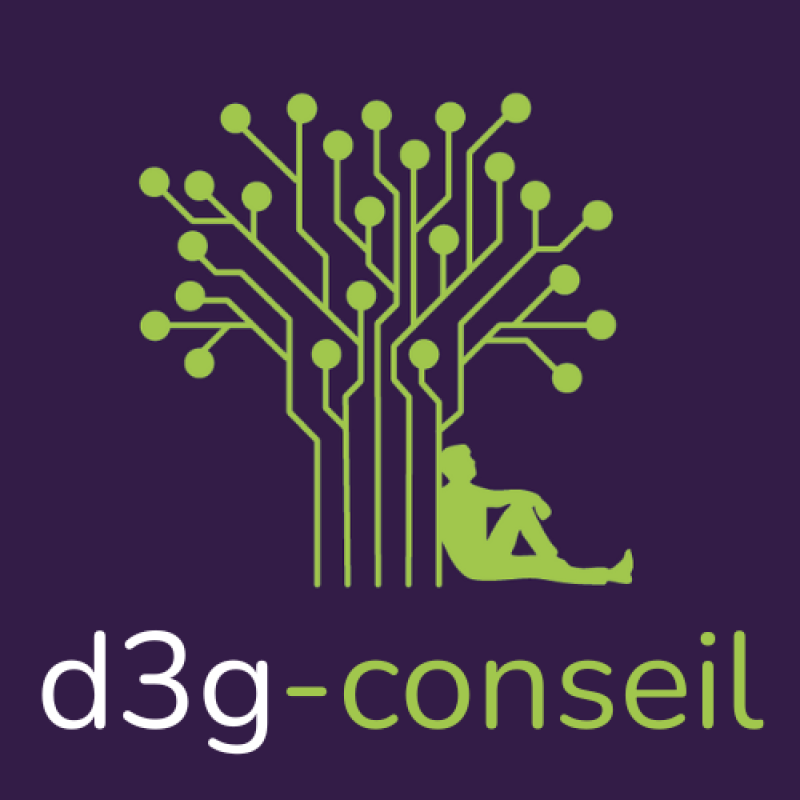 logo entreprise d3g-conseil