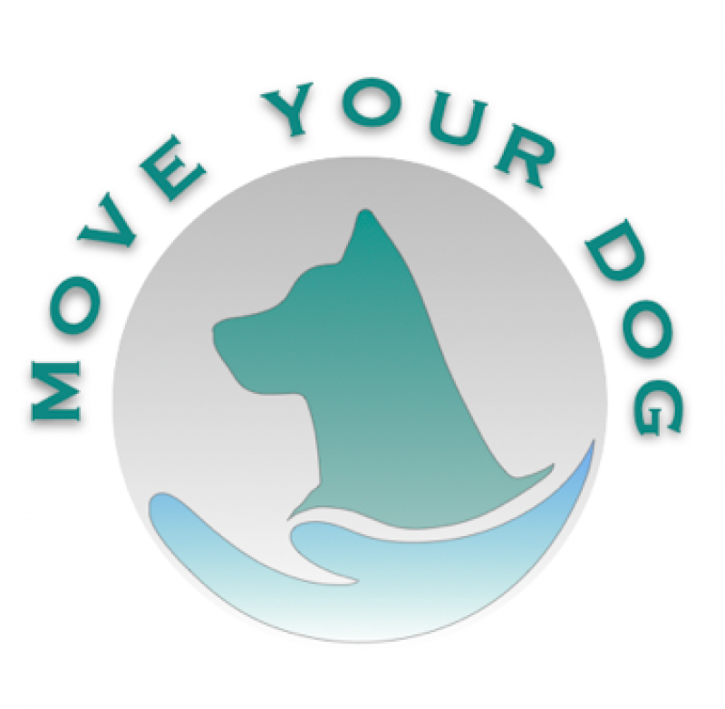 Move your Dog