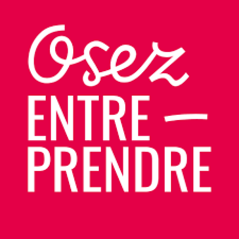 Logo Osez entreprendre